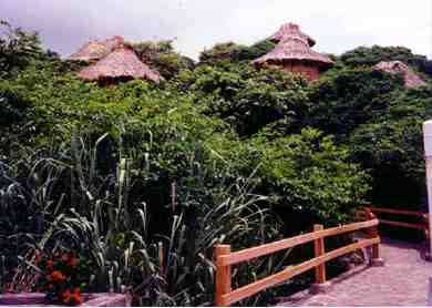 panoramica de ecohabs